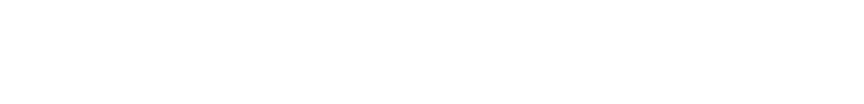 Intelecta: Desarrollo de Software